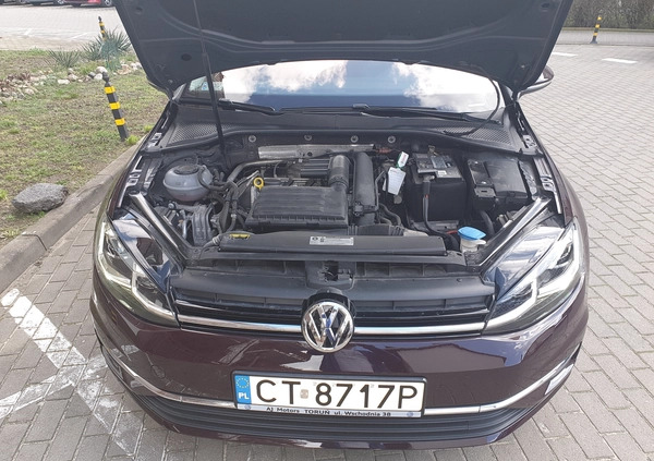 Volkswagen Golf cena 68000 przebieg: 30000, rok produkcji 2017 z Toruń małe 37